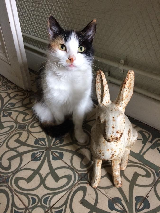 Le Clos Mademoiselle Лош Экстерьер фото